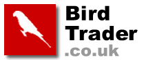 Birds for sale, free bird classifieds