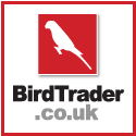 Birds for sale, free bird classifieds