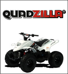 Used Cars and New Quads at Worthing Car Sales